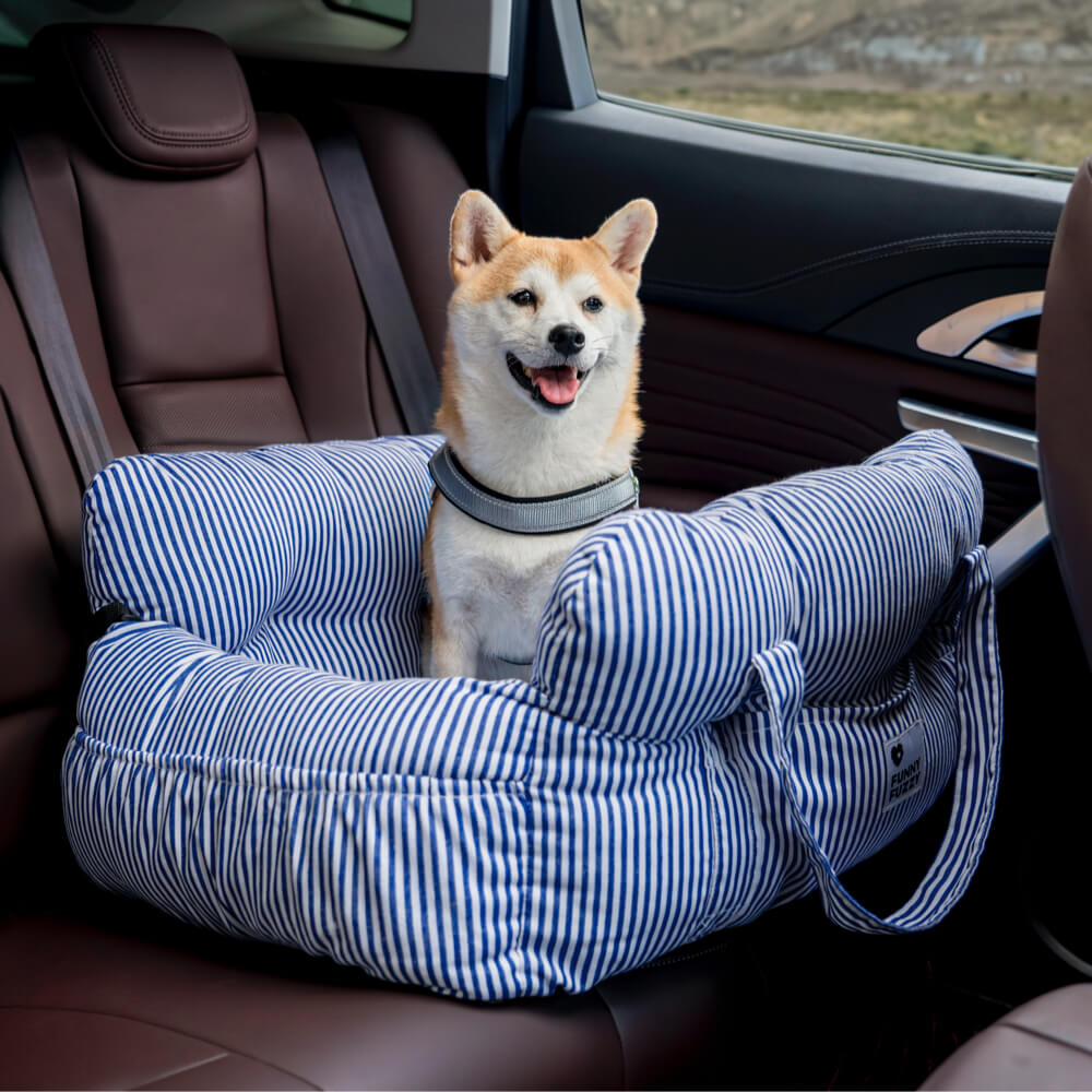 Komfortabel hundekurv til bilen - TravelPaw