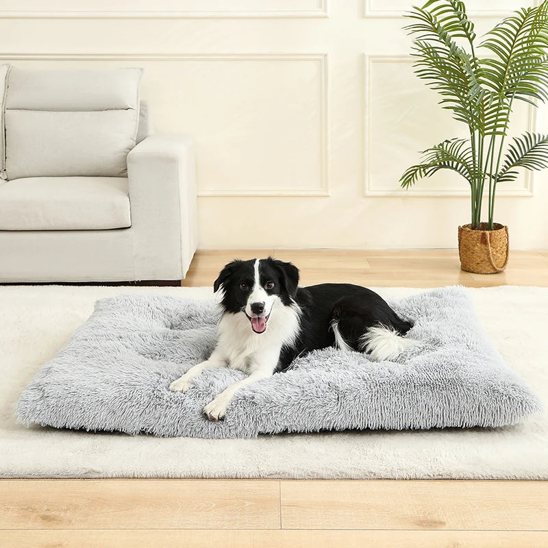 LunaNest  – Weiches Plüsch-Hundebett mit Wohlfühlfaktor
