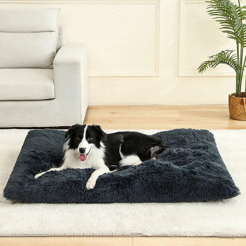 LunaNest  – Weiches Plüsch-Hundebett mit Wohlfühlfaktor