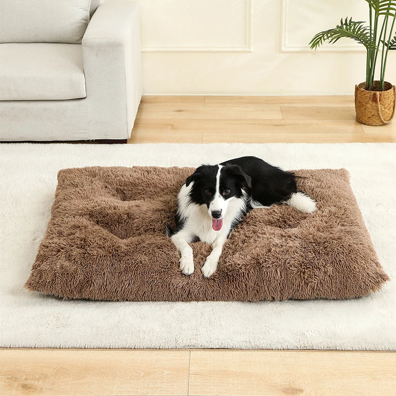 LunaNest  – Weiches Plüsch-Hundebett mit Wohlfühlfaktor