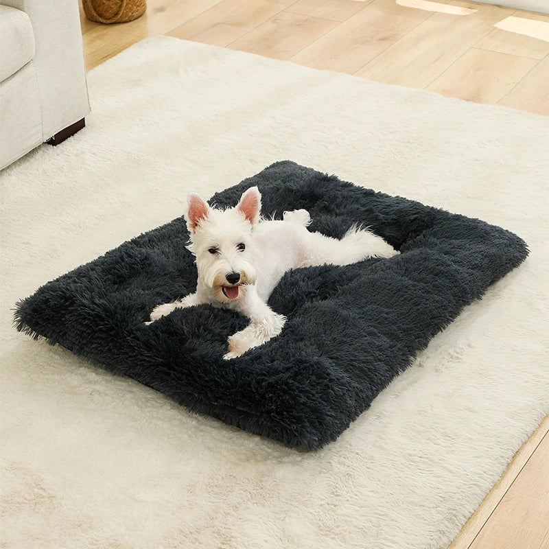LunaNest  – Weiches Plüsch-Hundebett mit Wohlfühlfaktor