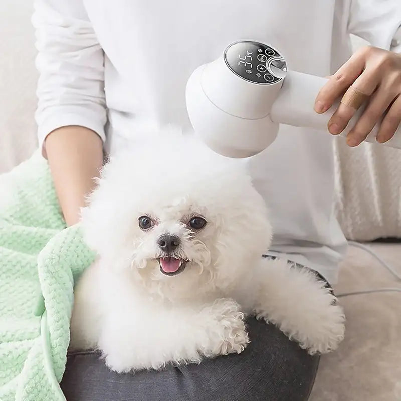 PurrfectDry - Geräuscharmer 2-in-1-Haartrockner mit Tierbürste