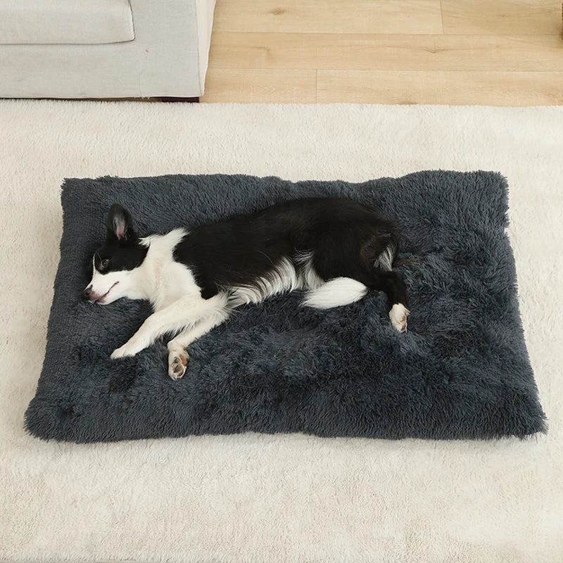 LunaNest  – Weiches Plüsch-Hundebett mit Wohlfühlfaktor