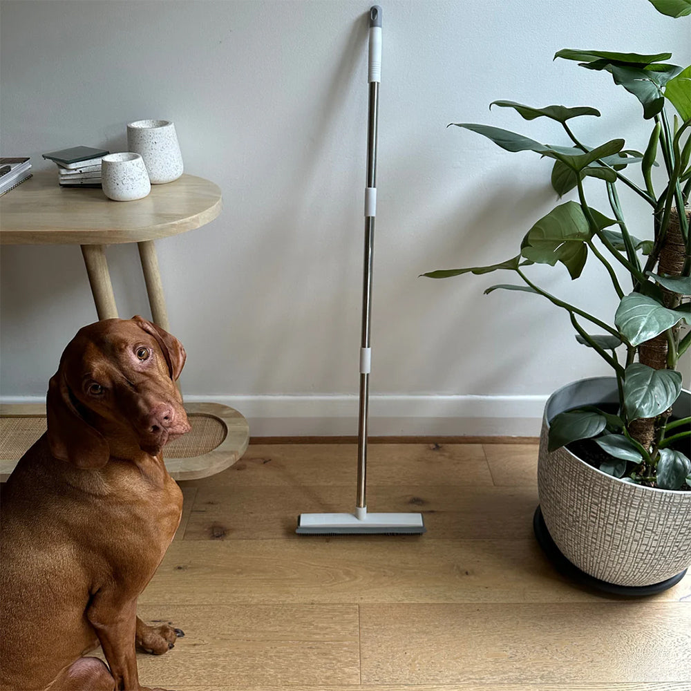 Teleskopbesen mit abzieher für tierhaare und flexiblem griff