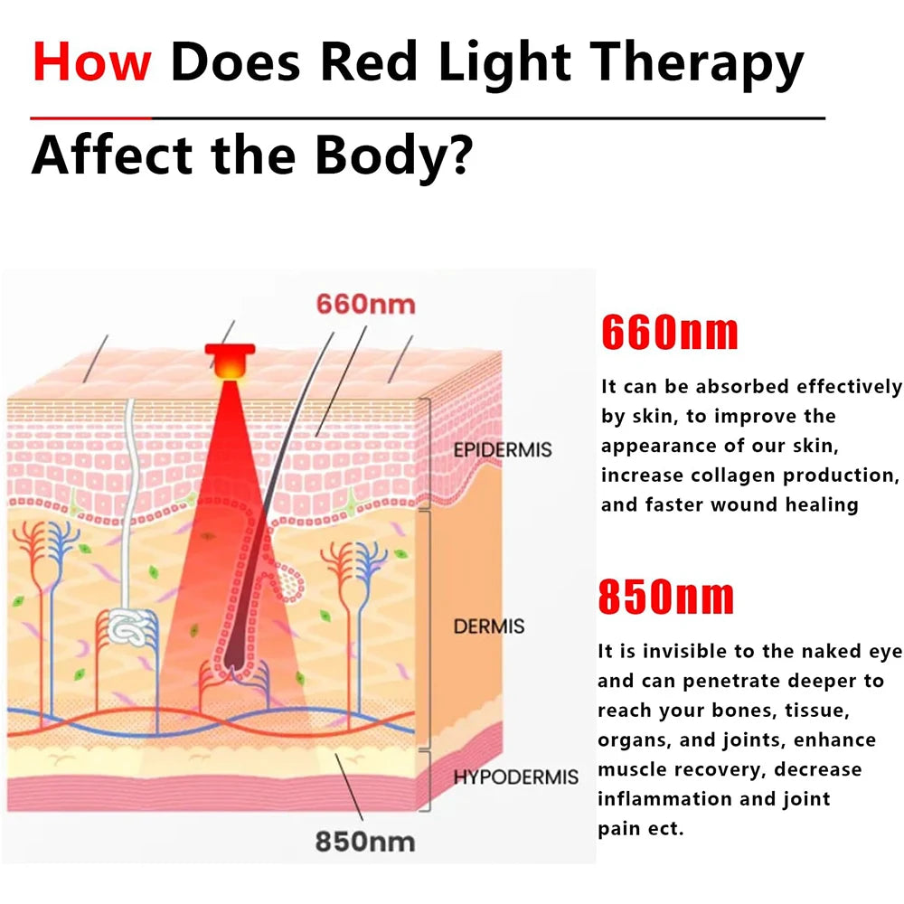 Therapie-Gürtel mit 60 roten LEDs und Infrarotlicht 660/850 nm 3