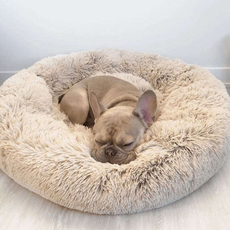 Hundebett Wolke – Flauschiger Komfort trifft beruhigenden Schlaf