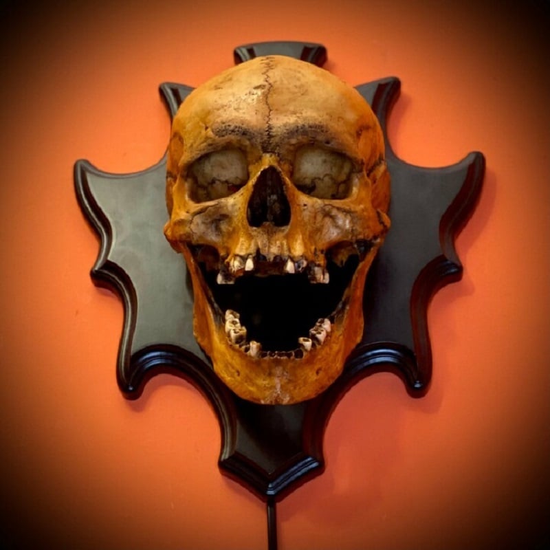 Totenkopf-Nachtlicht - LED-Nachtlicht | Stimmungsvolles Skelett-Design