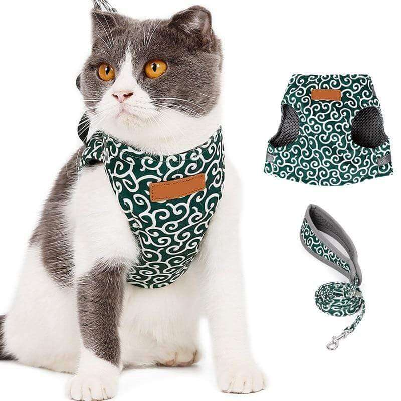 Pawver – Katzenharness atmungsaktiv & gepolstert – für Outdoor-Abenteuer