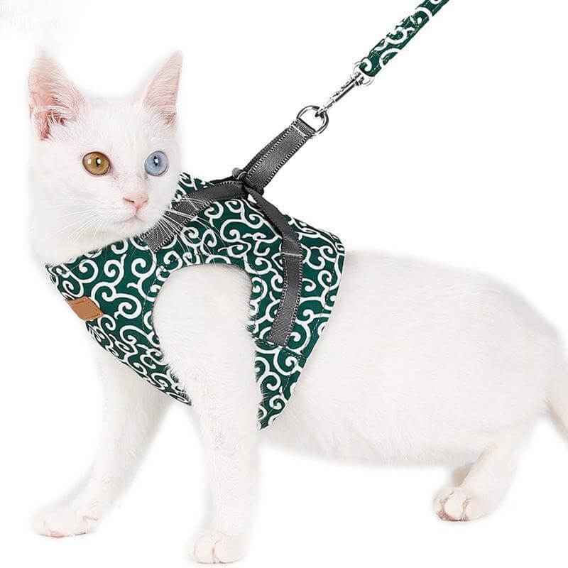Pawver – Katzenharness atmungsaktiv & gepolstert – für Outdoor-Abenteuer