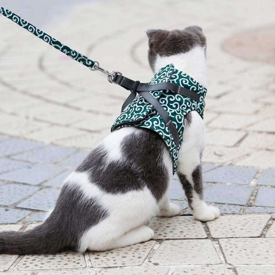 Pawver – Katzenharness atmungsaktiv & gepolstert – für Outdoor-Abenteuer