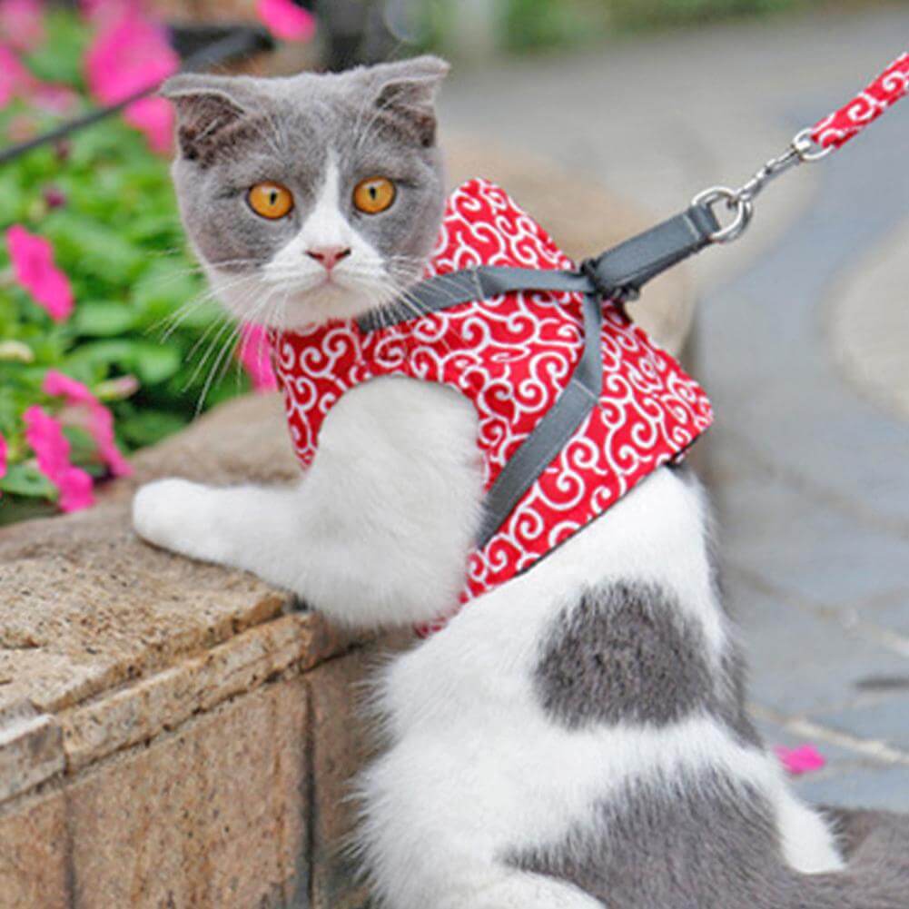 Pawver – Katzenharness atmungsaktiv & gepolstert – für Outdoor-Abenteuer