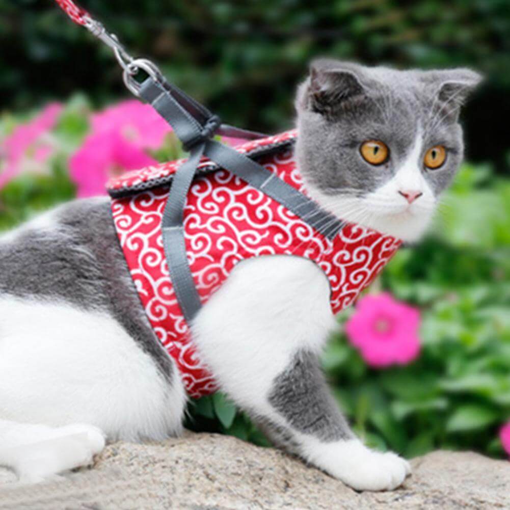 Pawver – Katzenharness atmungsaktiv & gepolstert – für Outdoor-Abenteuer