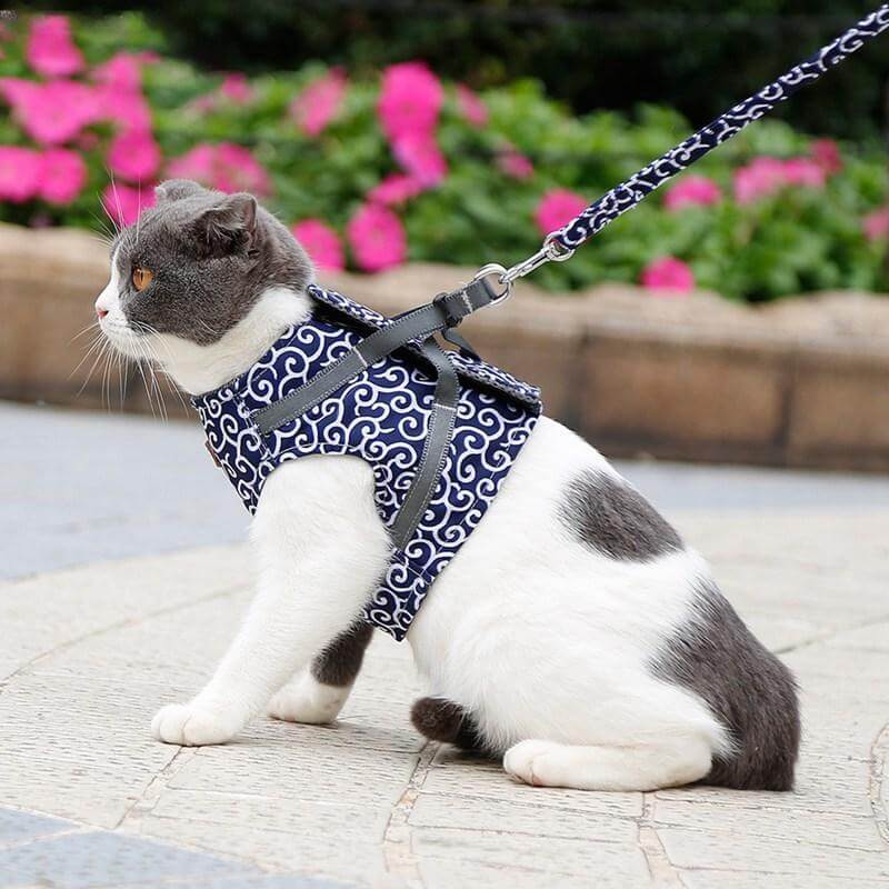 Pawver – Katzenharness atmungsaktiv & gepolstert – für Outdoor-Abenteuer