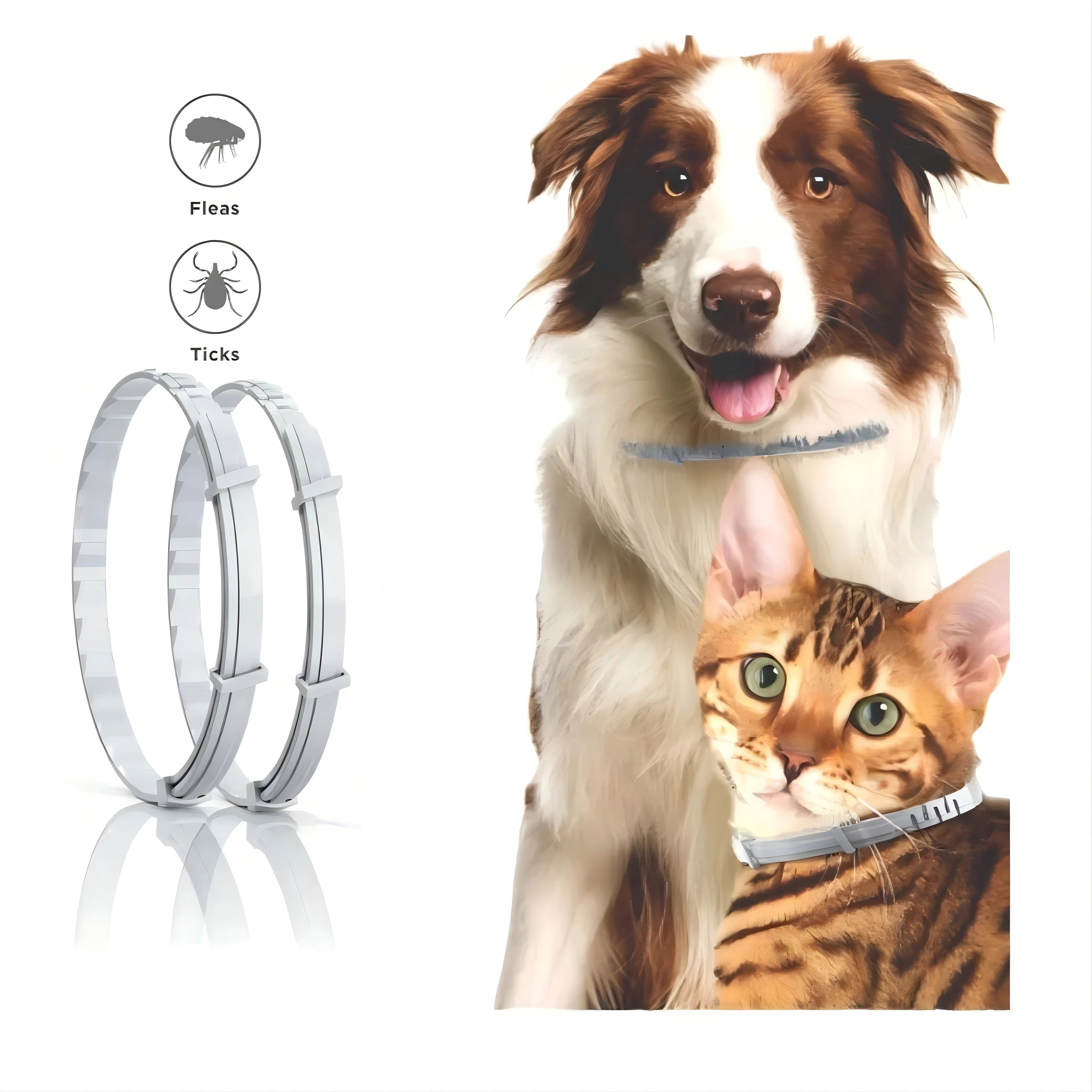 Pawelino – weiches Hunde-Halsband aus Gummi – bequem & sicher beim Spazieren