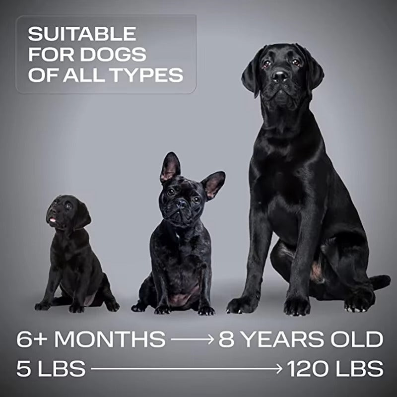 Ultraschallgerät Für Hunde Wiederaufladbar 