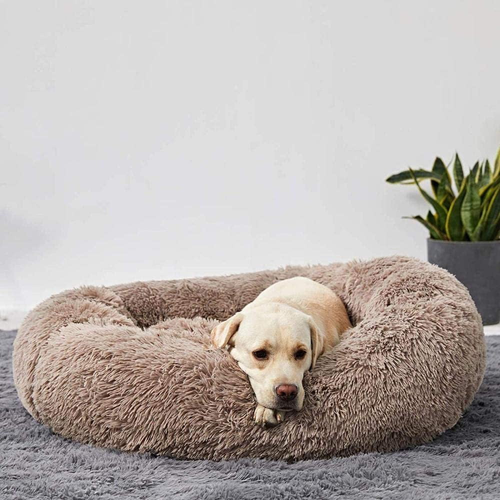 Hundebett Wolke – Flauschiger Komfort trifft beruhigenden Schlaf